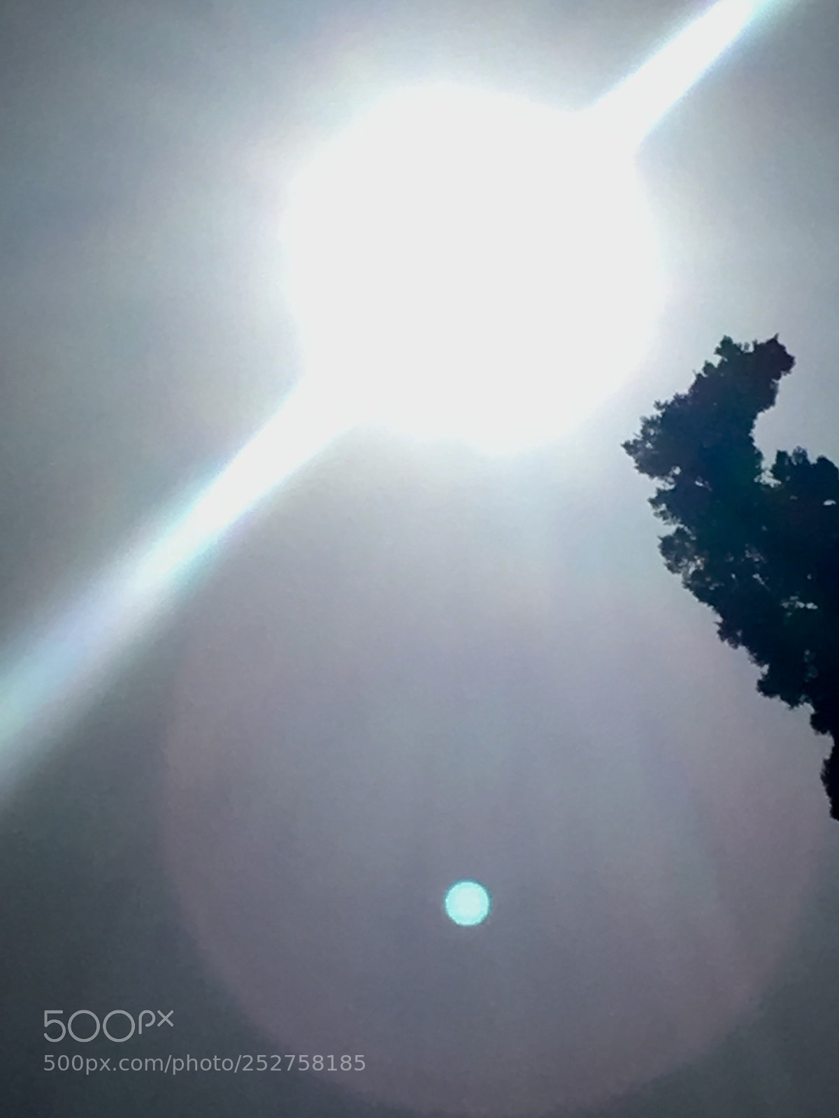 Apple iPhone 6s sample photo. What is this perfect photography