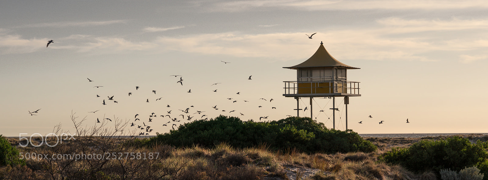 Sony a9 sample photo. Semaphore photography