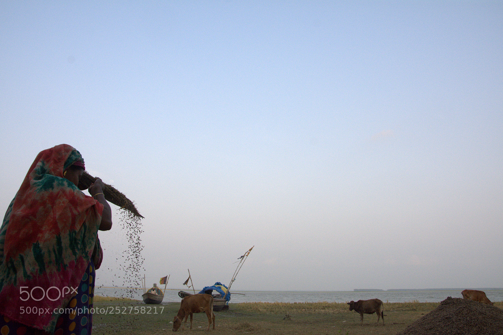 Nikon D7100 sample photo. Rural life photography
