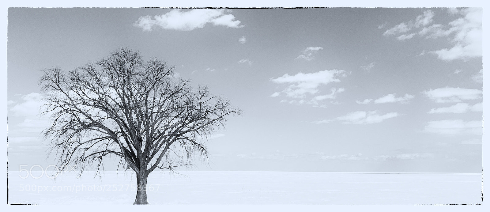 Apple iPhone 7 Plus sample photo. Lake mille lacs winter photography
