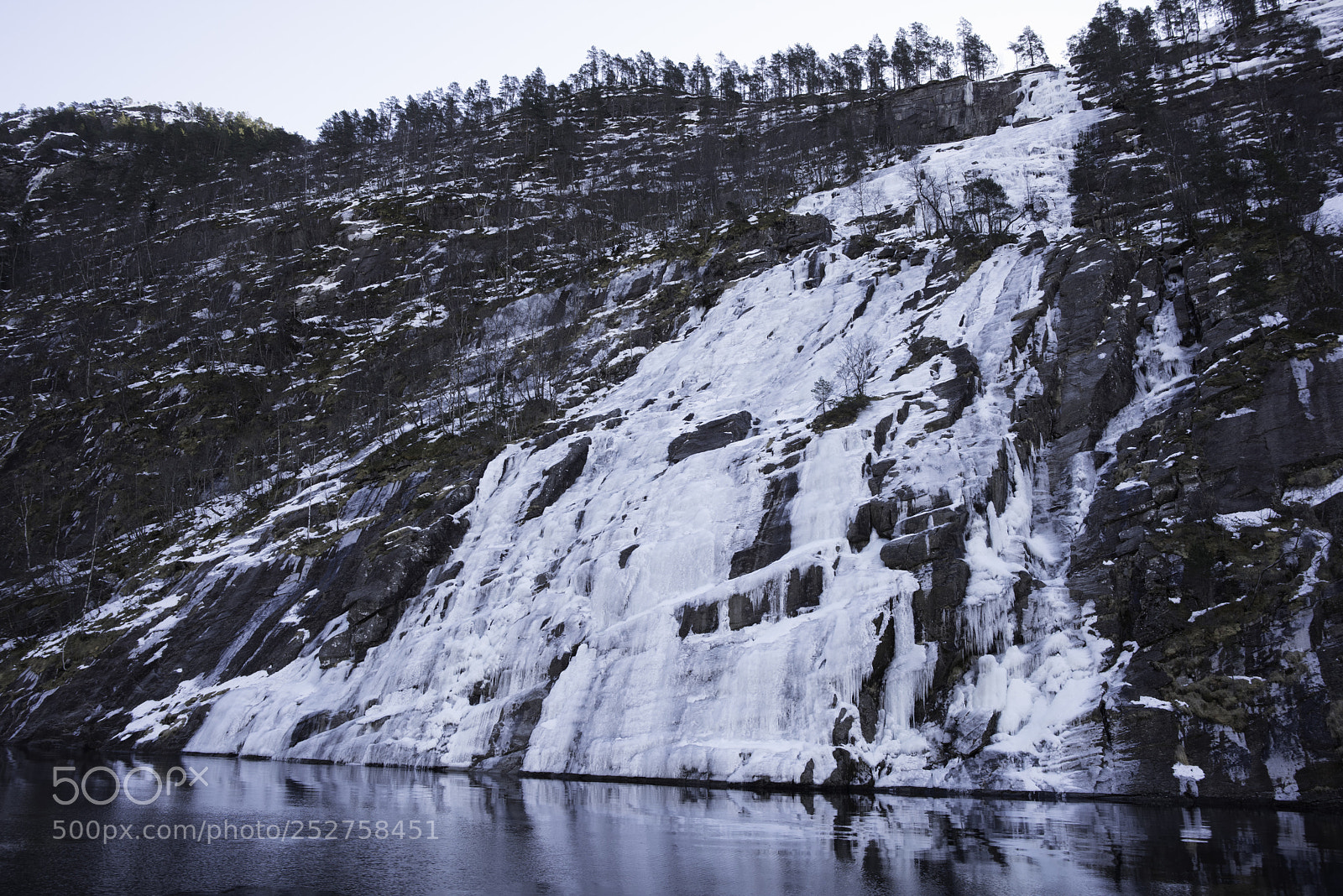 Nikon D810 sample photo. Bergen fjord boat tour photography
