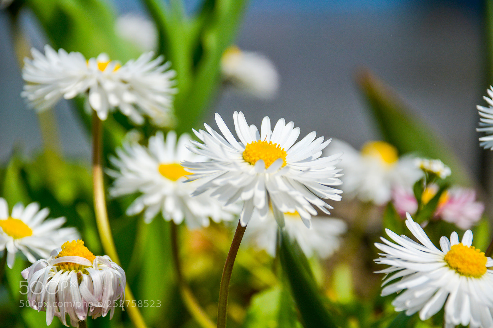 Nikon D7100 sample photo. Untitled photography