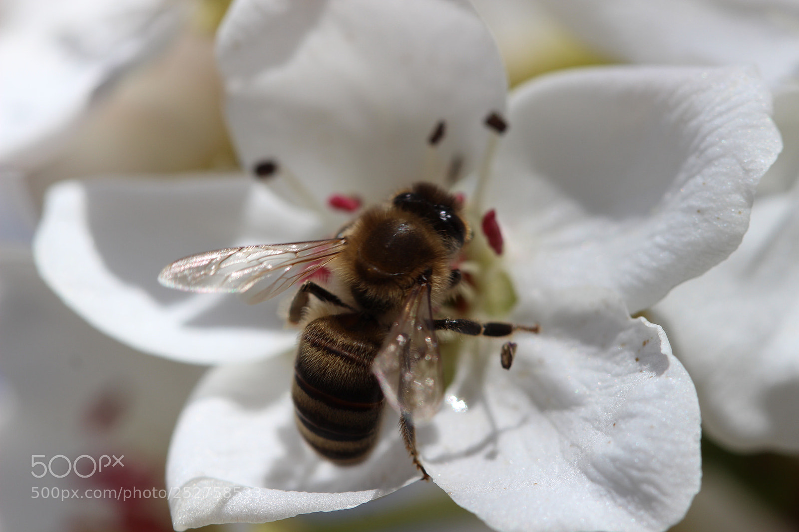 Canon EOS 600D (Rebel EOS T3i / EOS Kiss X5) sample photo. Lunch photography
