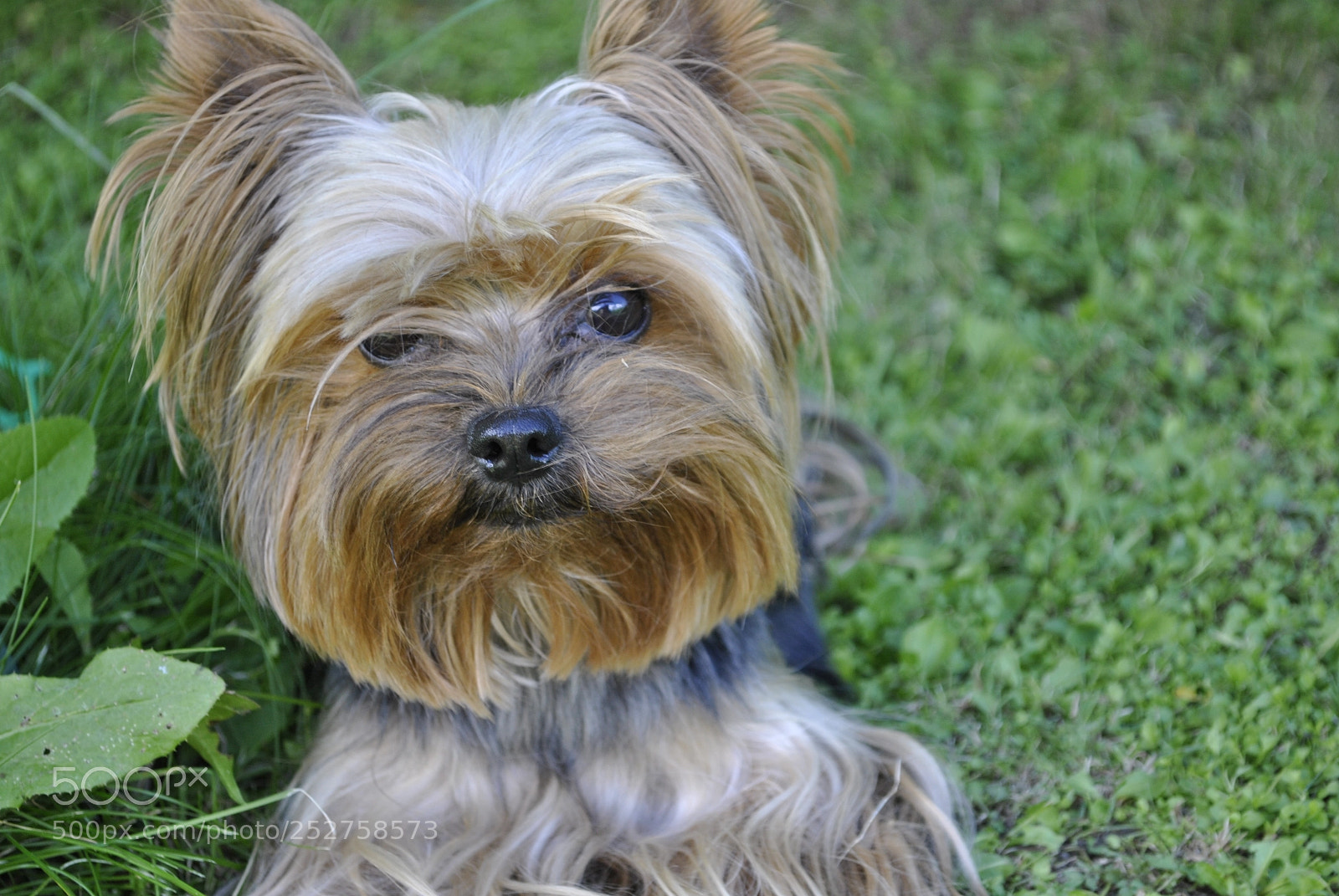 Nikon D3000 sample photo. Untitled photography