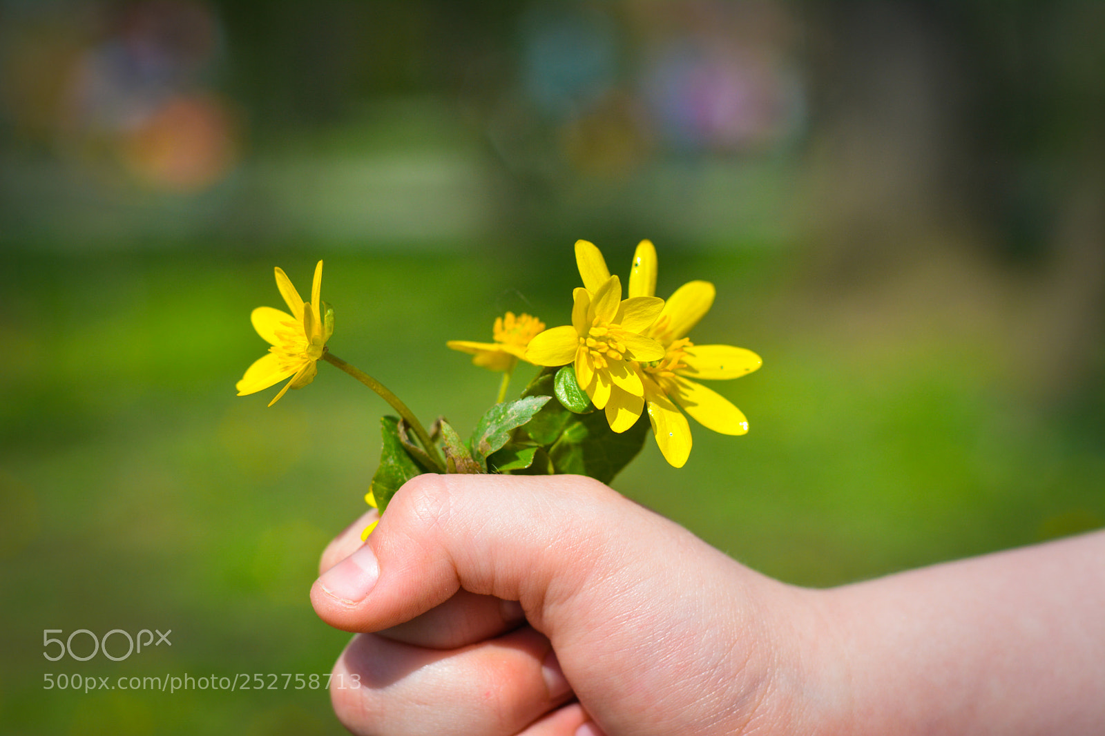 Nikon D7100 sample photo. Untitled photography