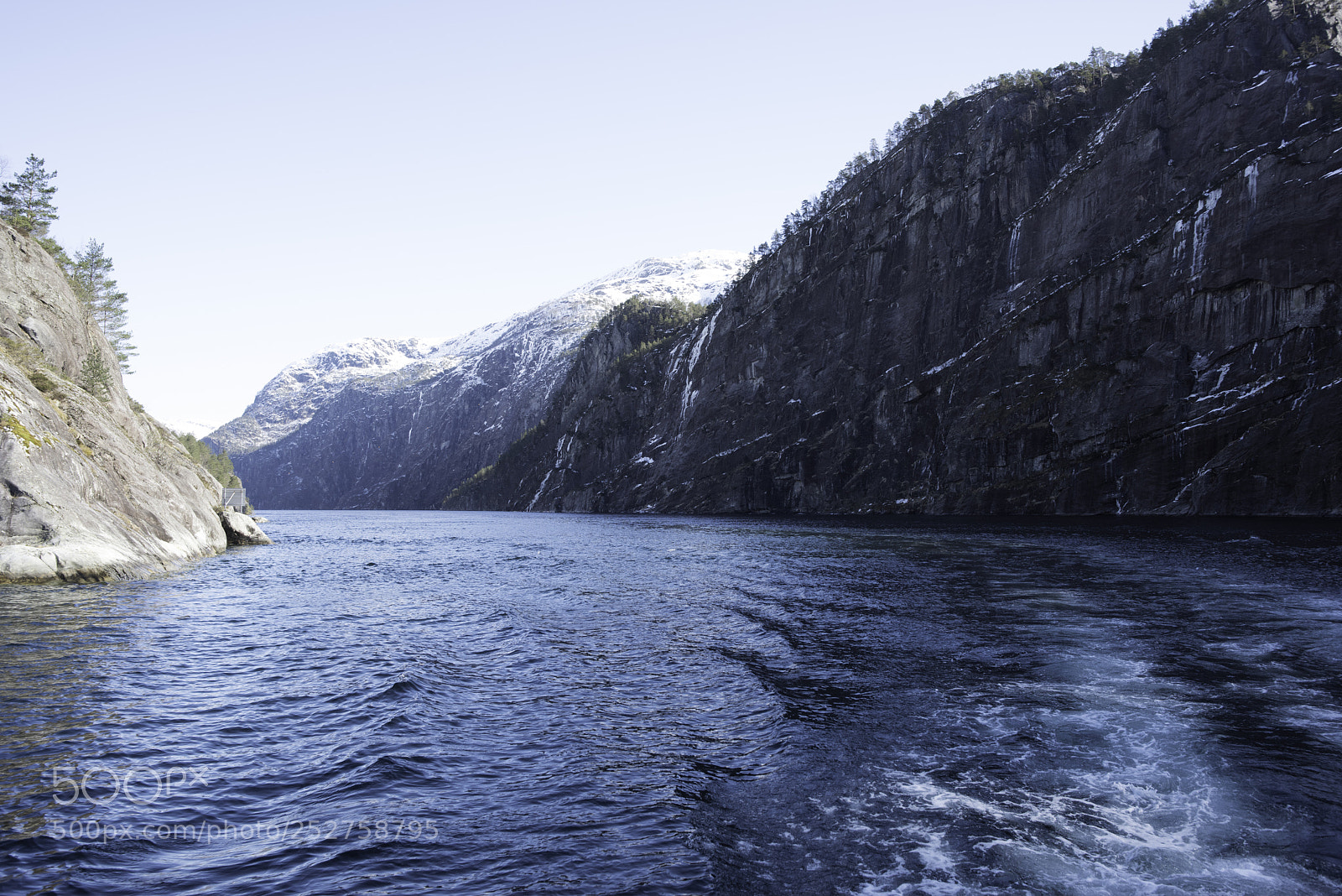 Nikon D810 sample photo. Bergen fjord boat tour photography