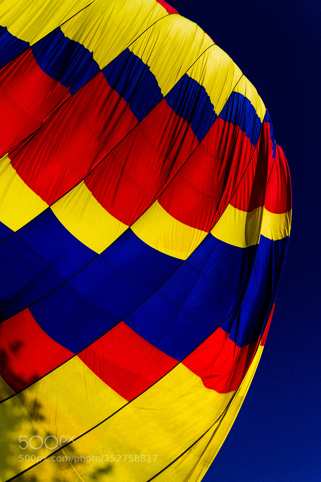 Canon EOS 7D sample photo. Colors, colors, colors photography