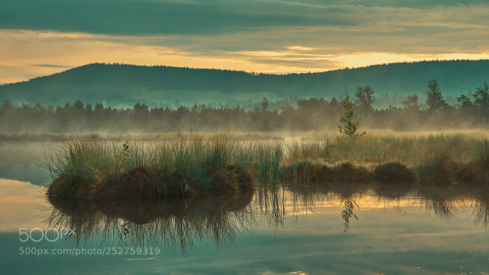 Nikon D600 sample photo. Misty sunrise on the photography