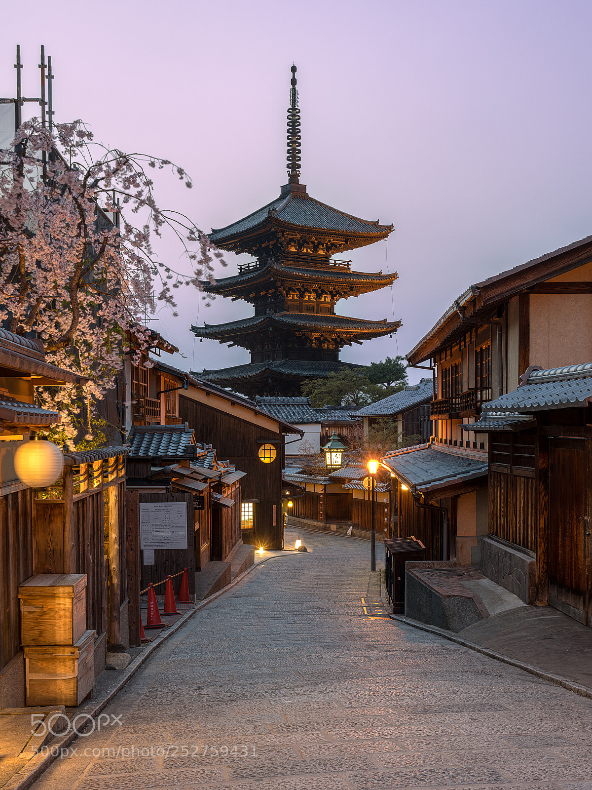 Sony a7R III sample photo. Hokanji pagoda photography