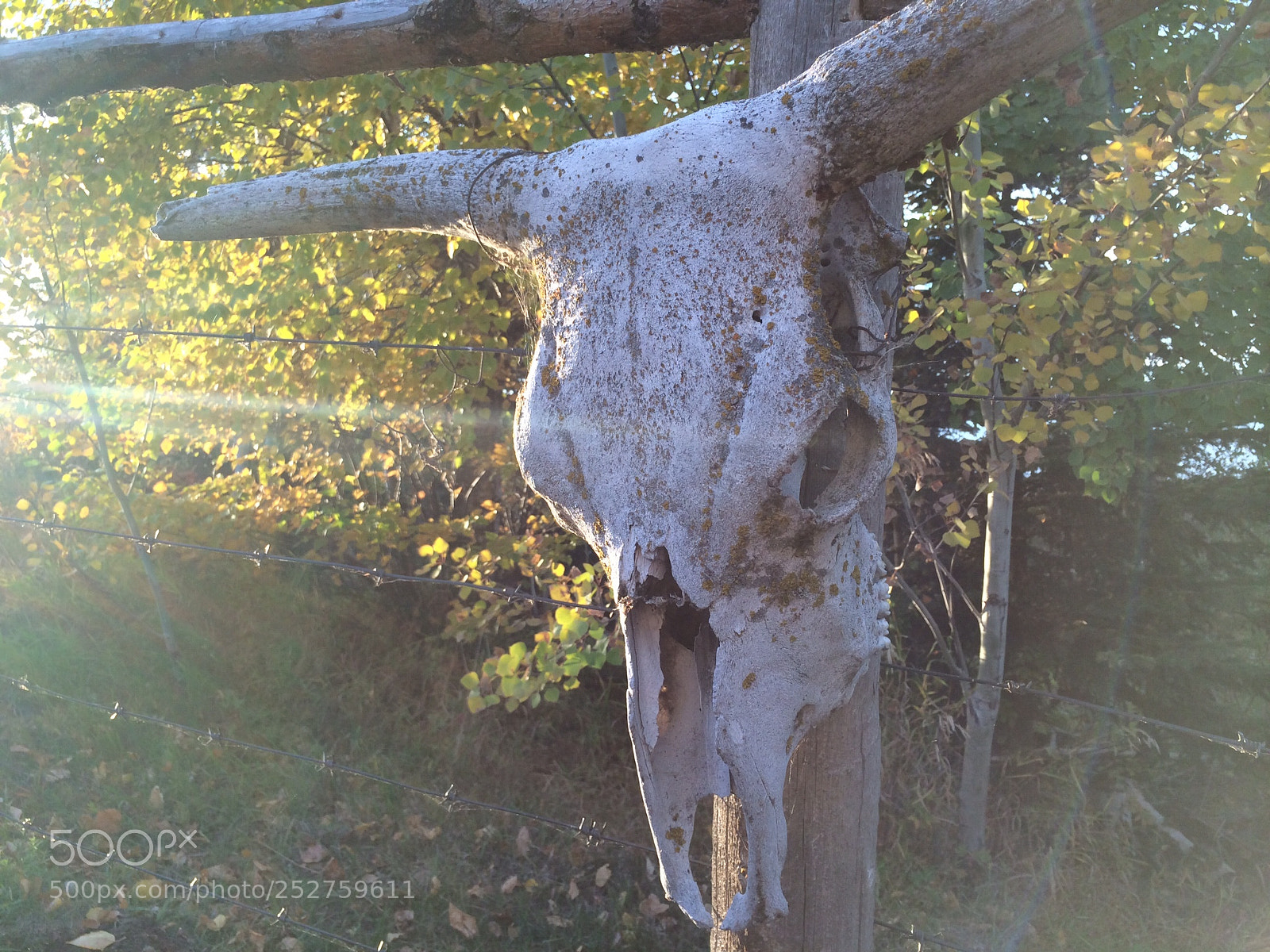 Apple iPhone 5s sample photo. Remnant photography
