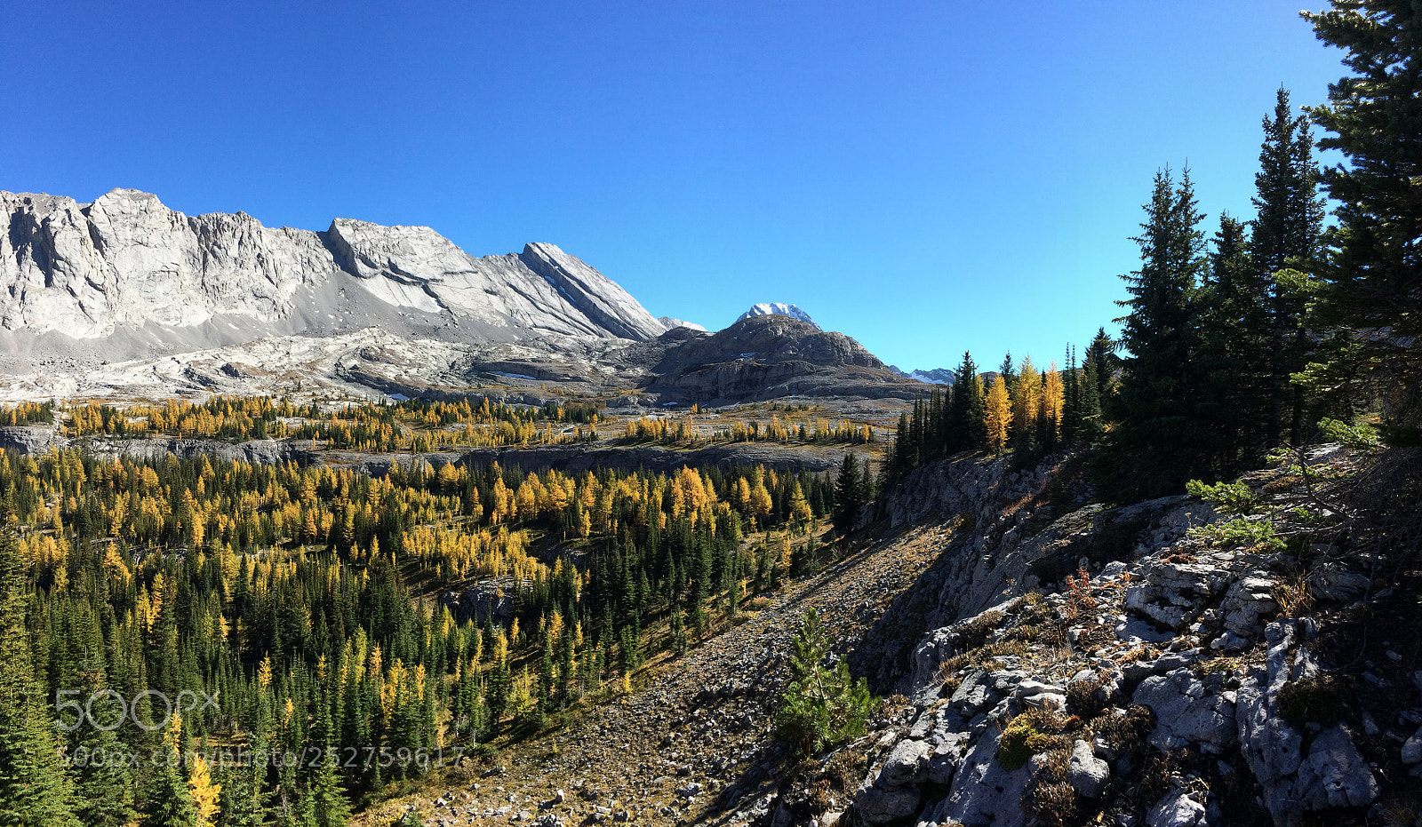 Apple iPhone 5s sample photo. Autumn in the rockies photography