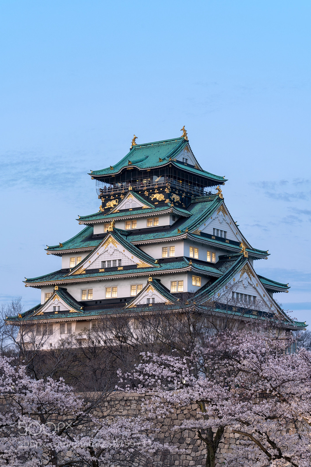 Sony a7R III sample photo. Osaka castle photography