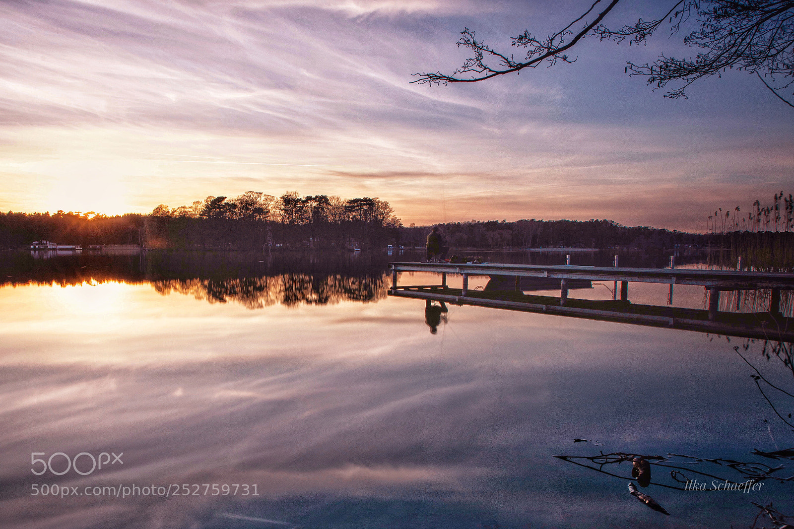 Canon EOS 5D Mark IV sample photo. Petri heil photography