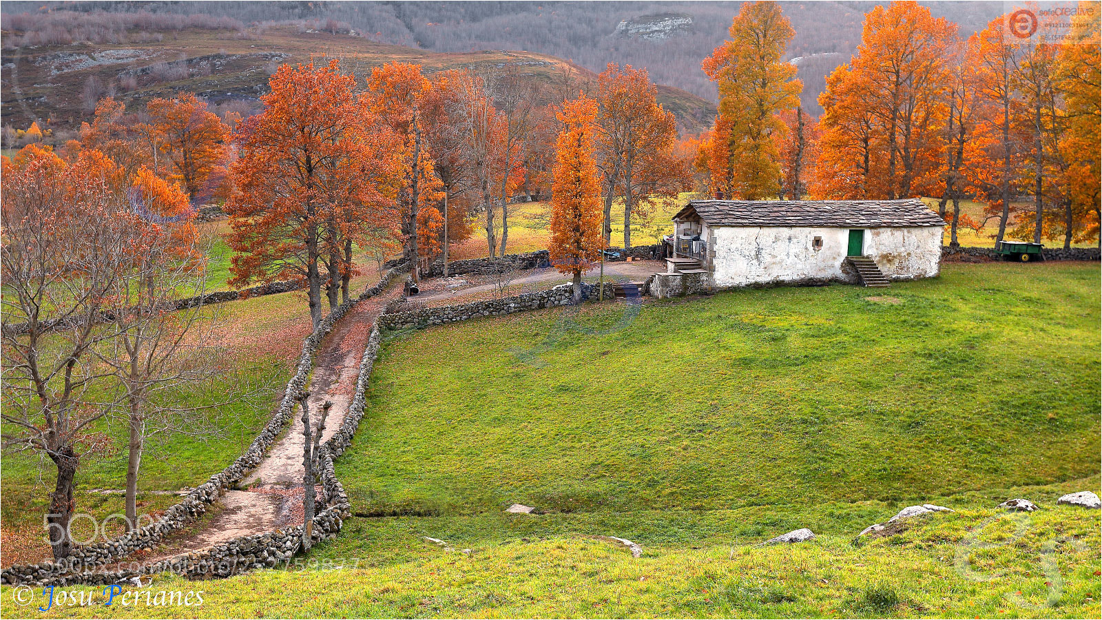 Canon EOS 5D Mark IV sample photo. Rincones de otoño photography