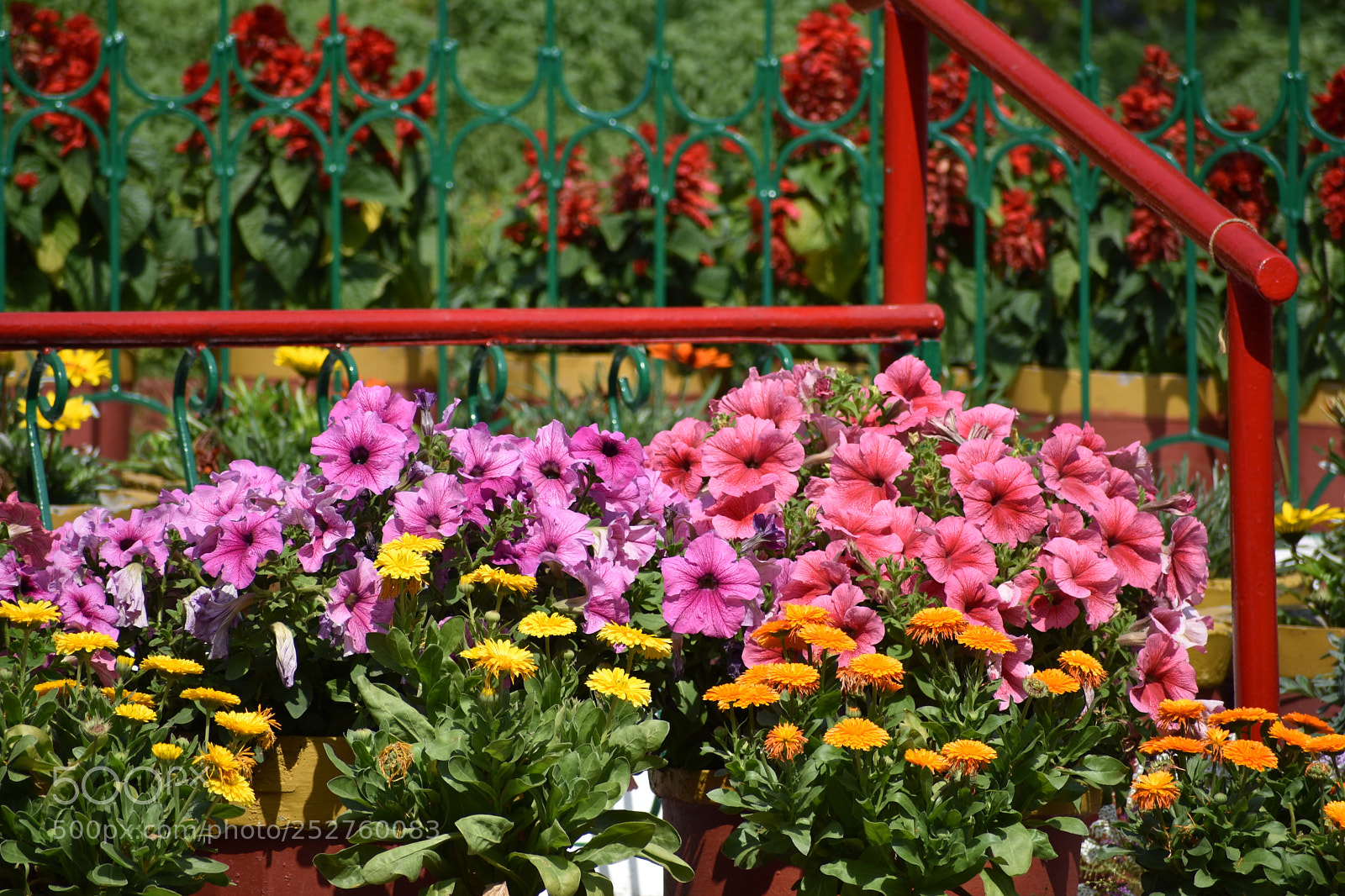 Nikon D3400 sample photo. Dsc photography