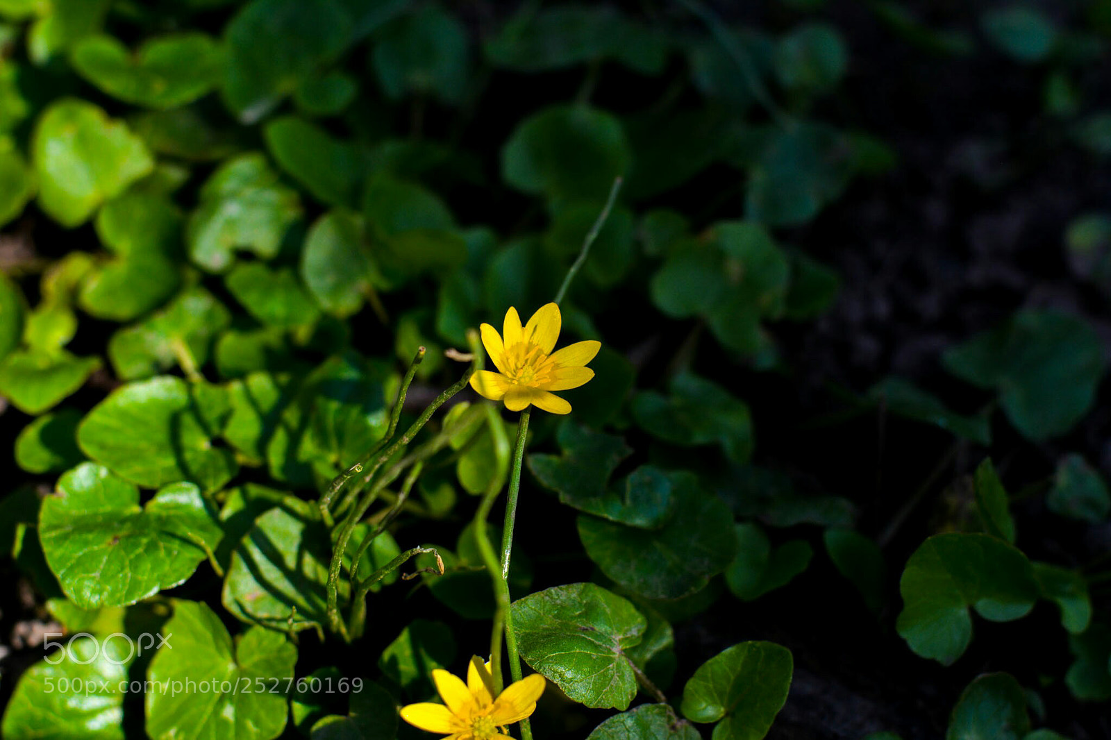 Nikon D7100 sample photo. Untitled photography