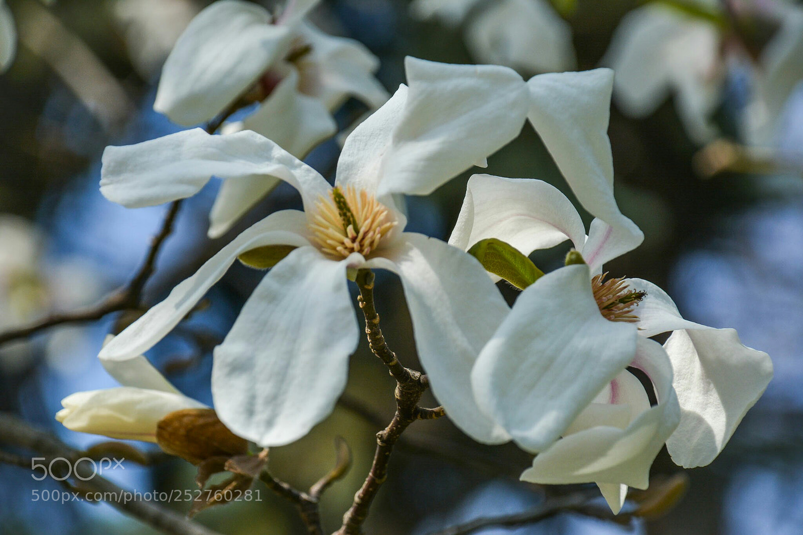 Nikon D7100 sample photo. Untitled photography