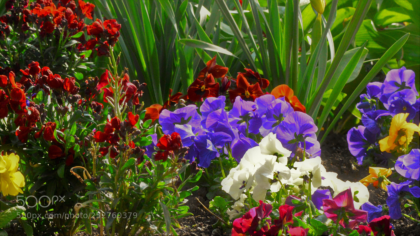 Nikon D3200 sample photo. Untitled photography