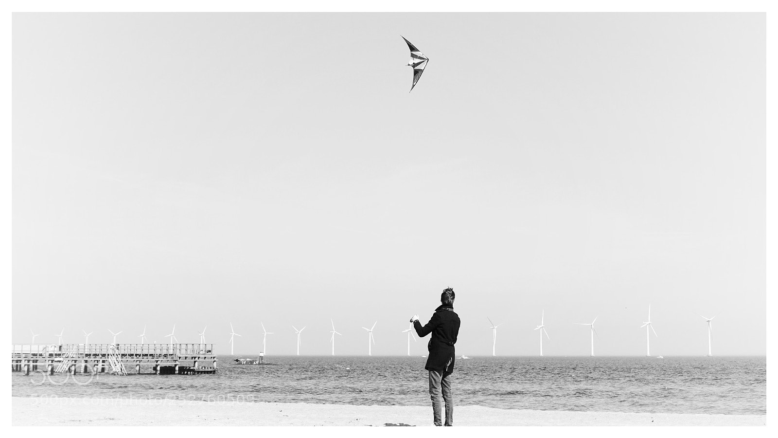 Sony a6000 sample photo. | fly away | photography
