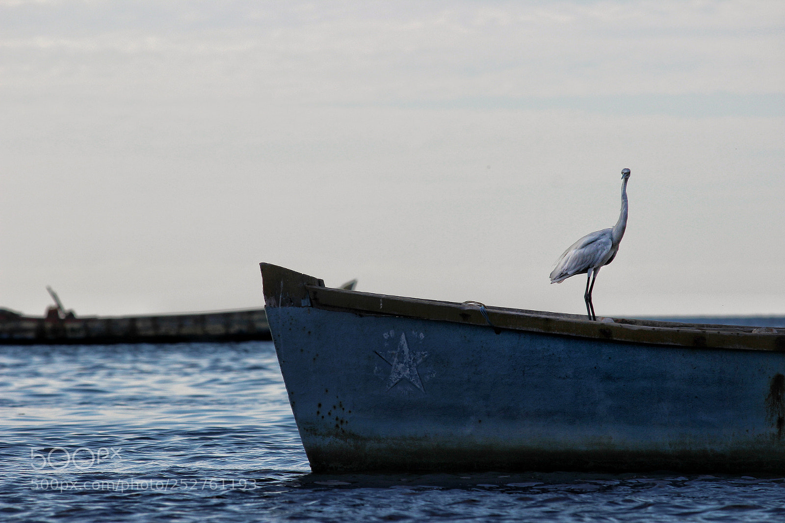 Canon EOS 600D (Rebel EOS T3i / EOS Kiss X5) sample photo. Shades of blue... photography