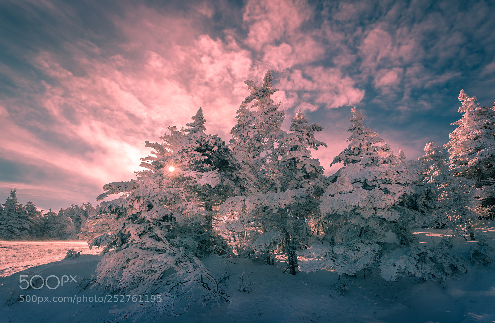 Canon EOS 5D Mark II sample photo. Winter photography
