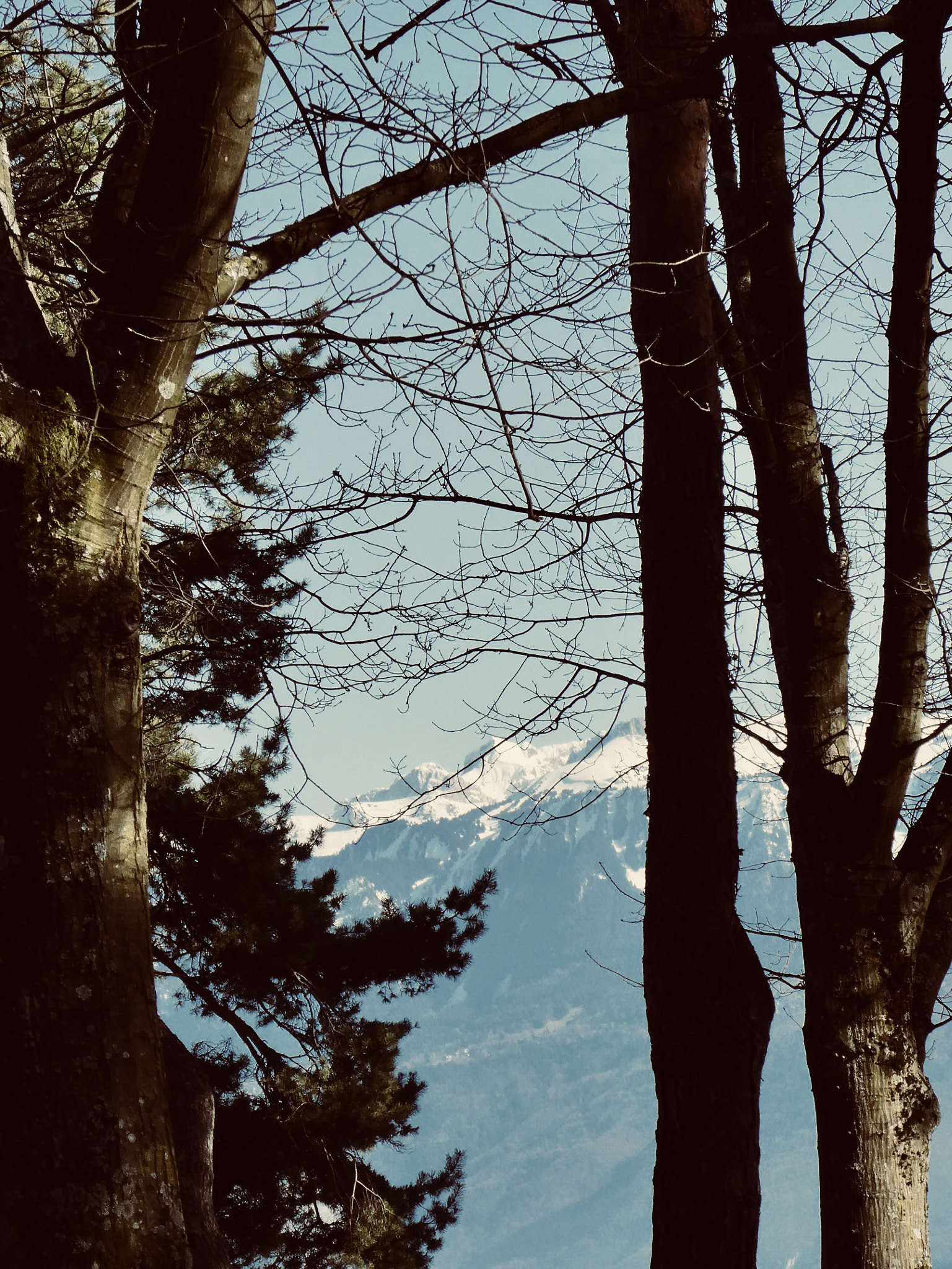 Panasonic DC-TZ91 sample photo. Avril 2018 photography