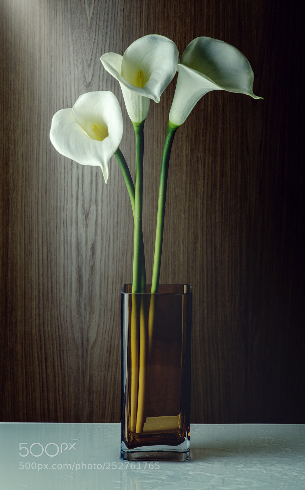 Canon EOS 5D Mark II sample photo. Img photography