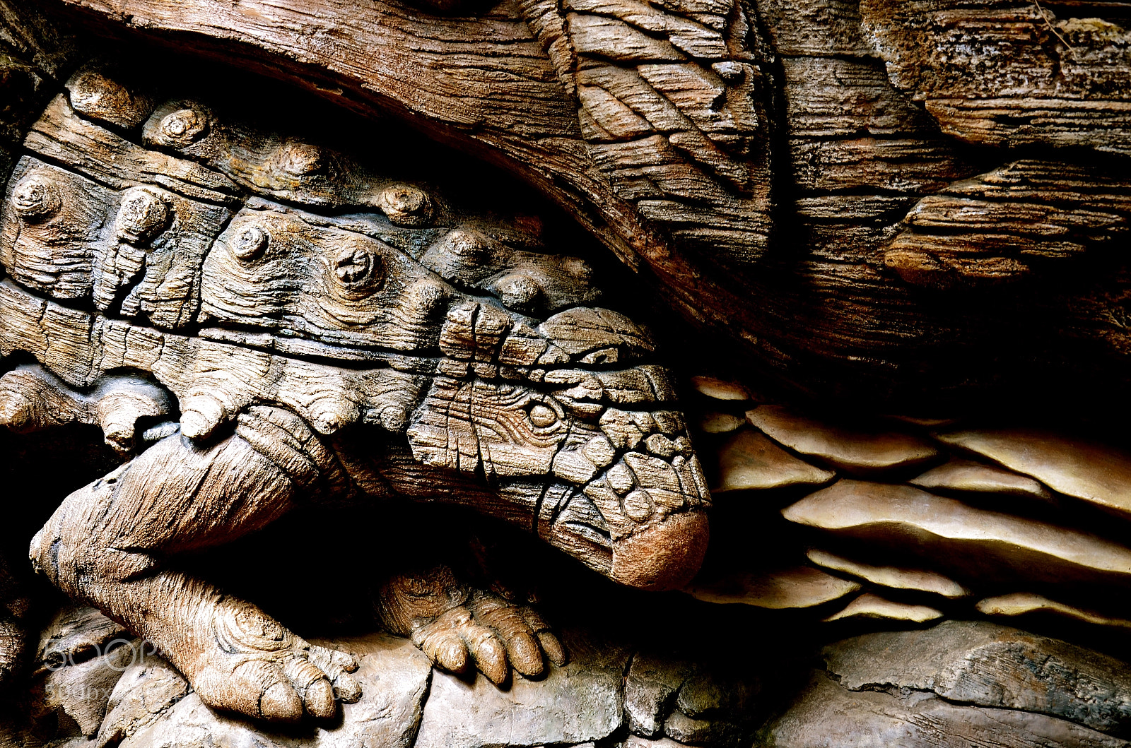 Nikon D7000 sample photo. Tree of life detail photography