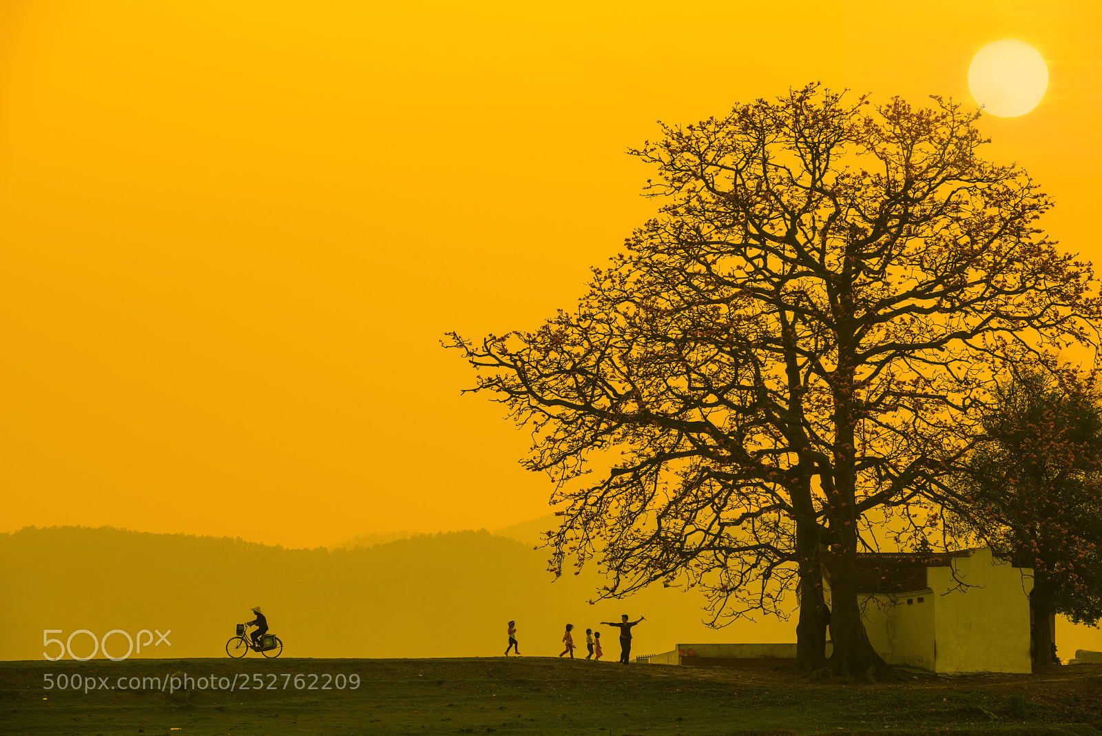 Nikon D810 sample photo. One way home photography