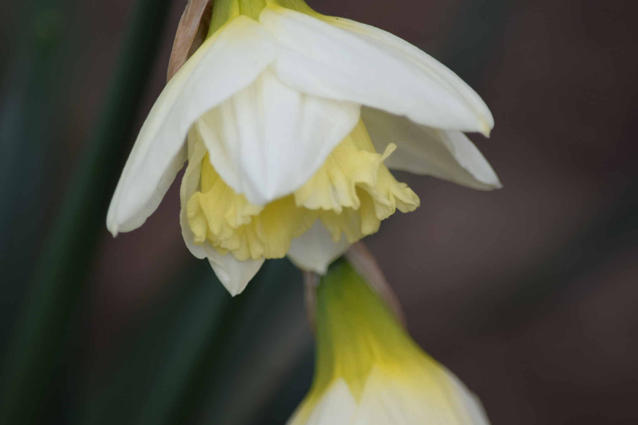 Nikon D5300 sample photo. Dsc photography