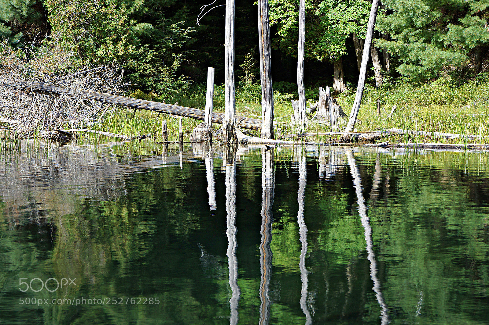 Sony Alpha NEX-7 sample photo. Ontario, canada - killarney photography