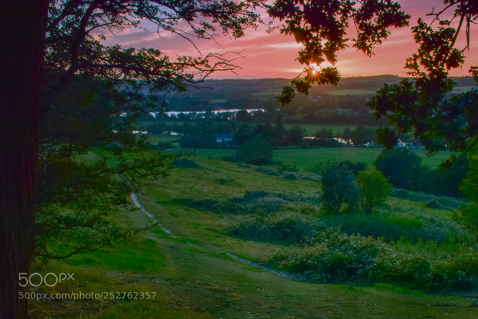 Nikon D3300 sample photo. Summer evening photography