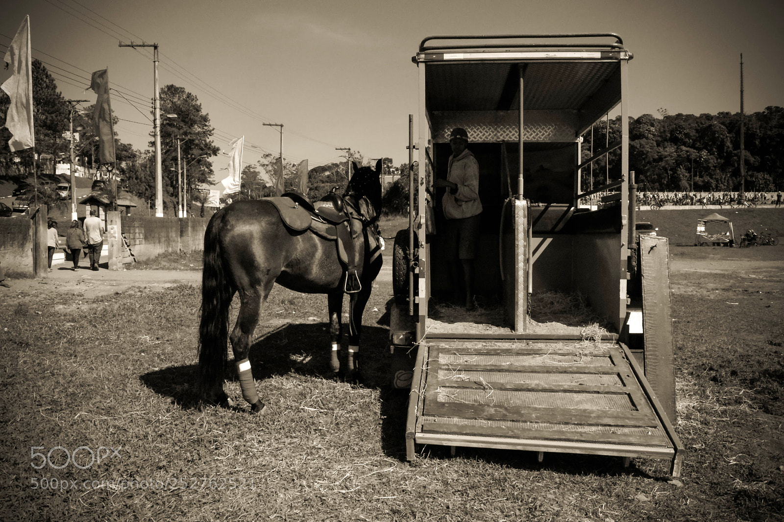 Nikon D5300 sample photo. [country style] photography