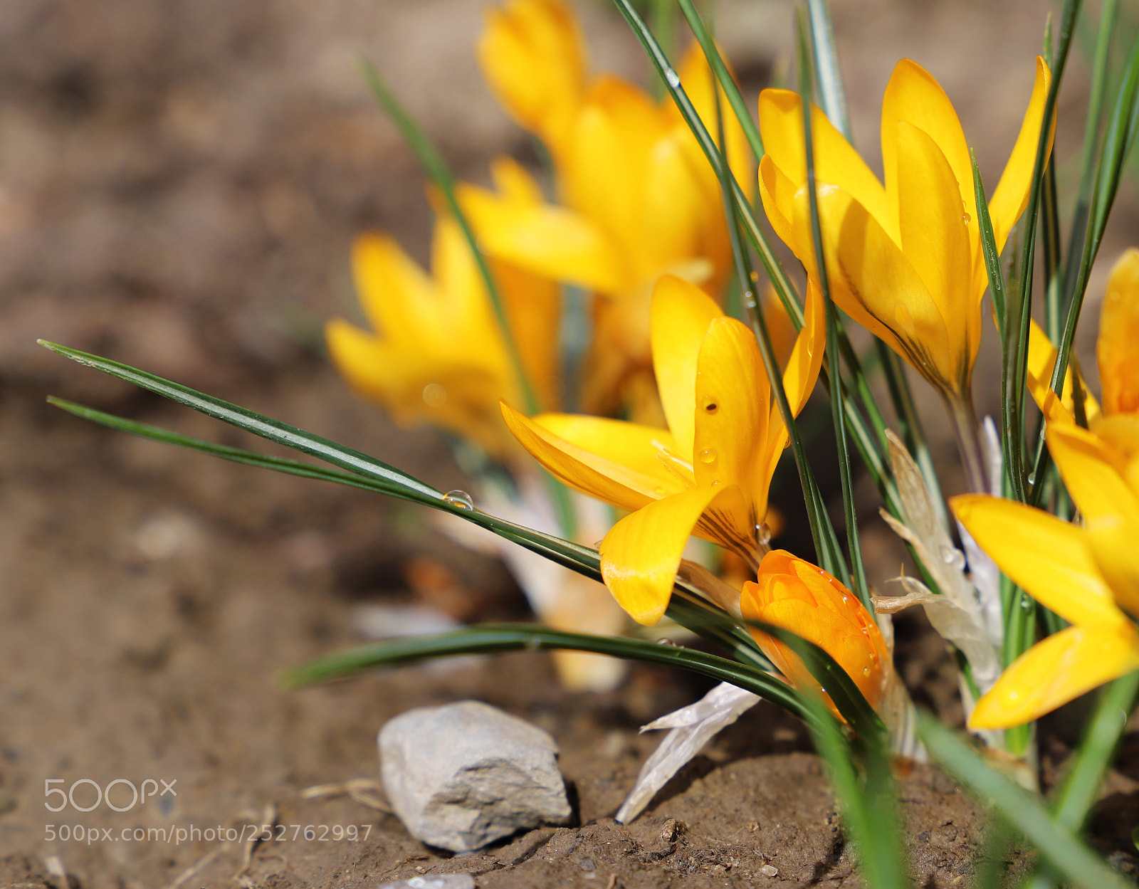 Canon EF 24-105mm F3.5-5.6 IS STM sample photo. Untitled photography