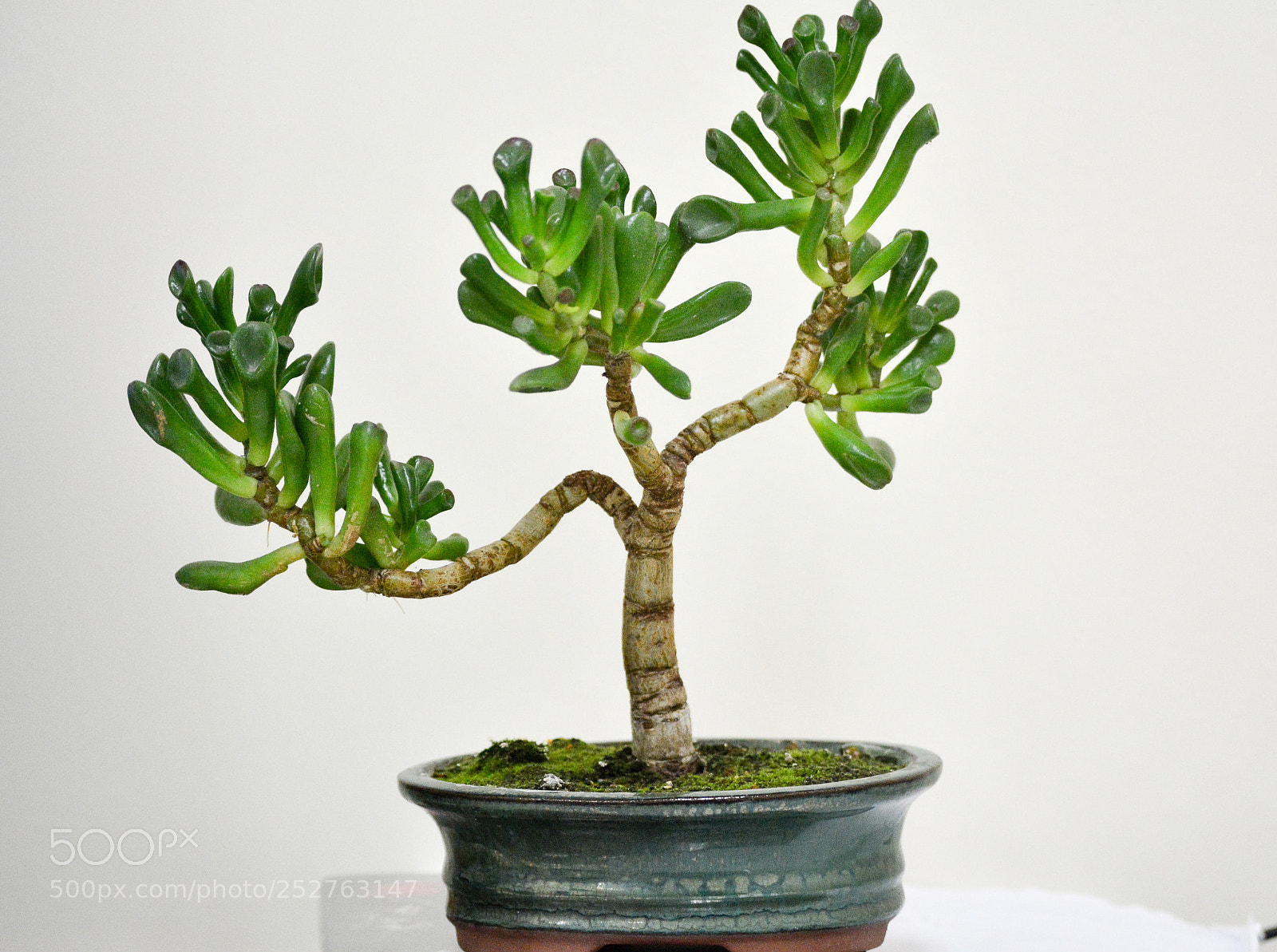 Nikon D7100 sample photo. Untitled photography