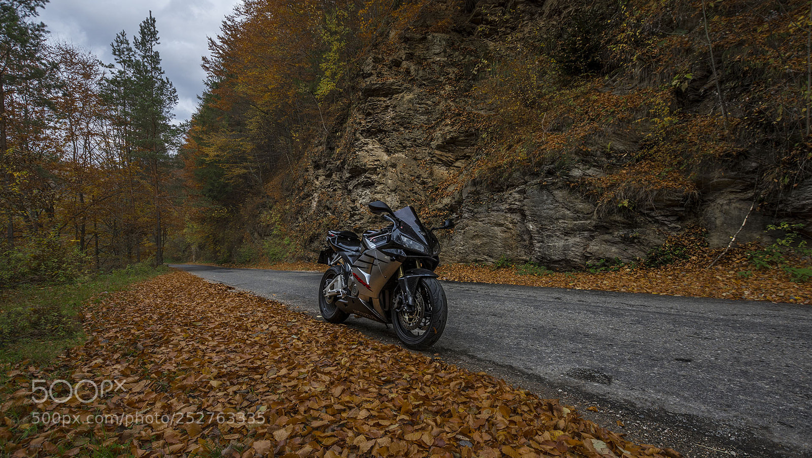 Nikon D7200 sample photo. Autumn feelings photography