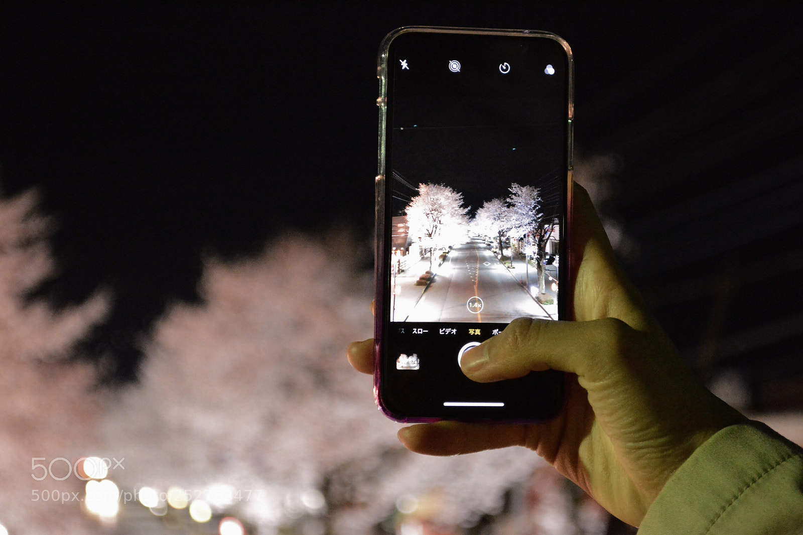 Nikon D5200 sample photo. Sakura photography