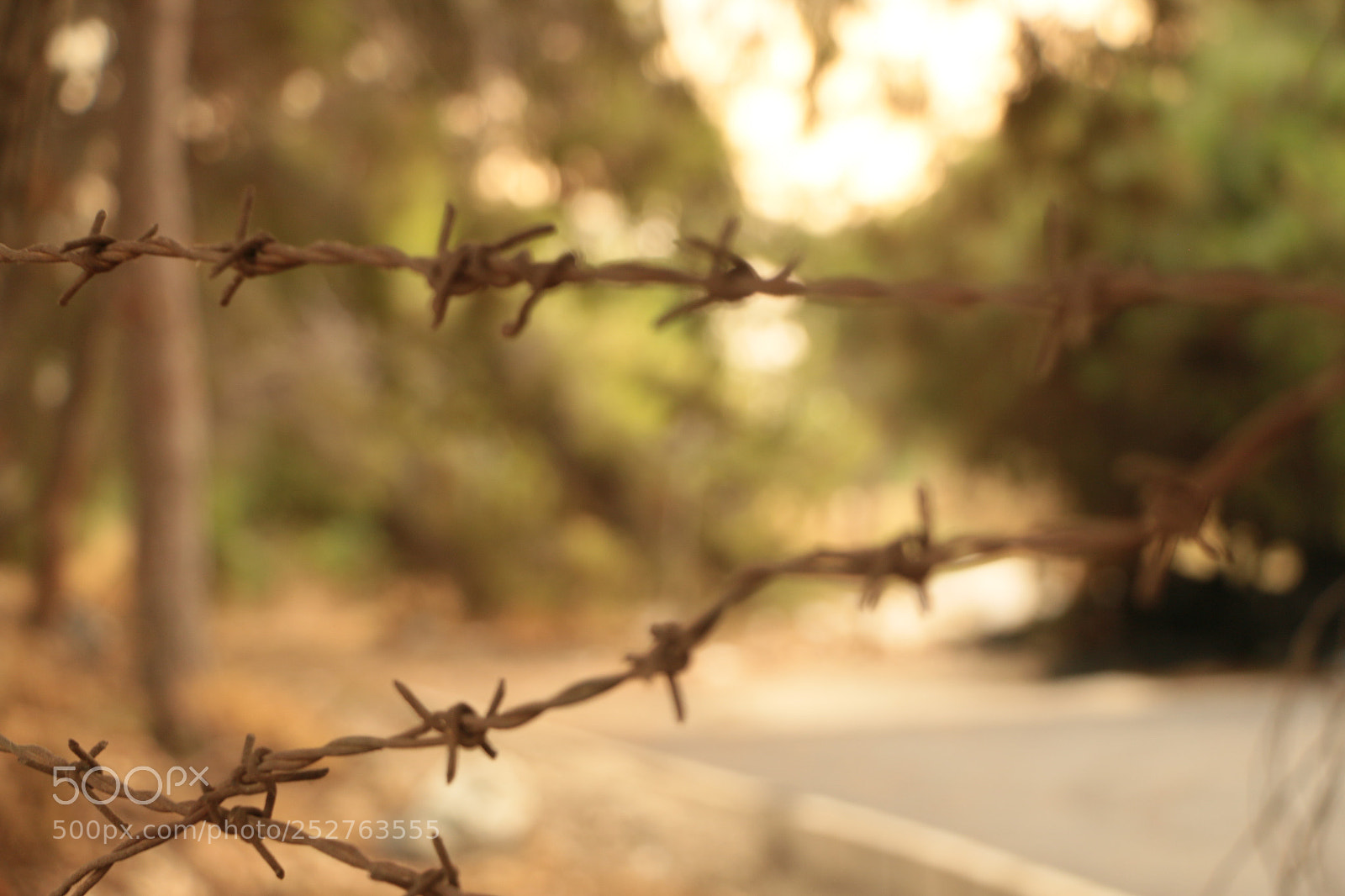 Canon EOS 70D sample photo. Libertad photography