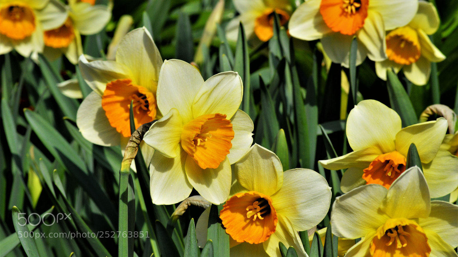 Nikon D3200 sample photo. Untitled photography