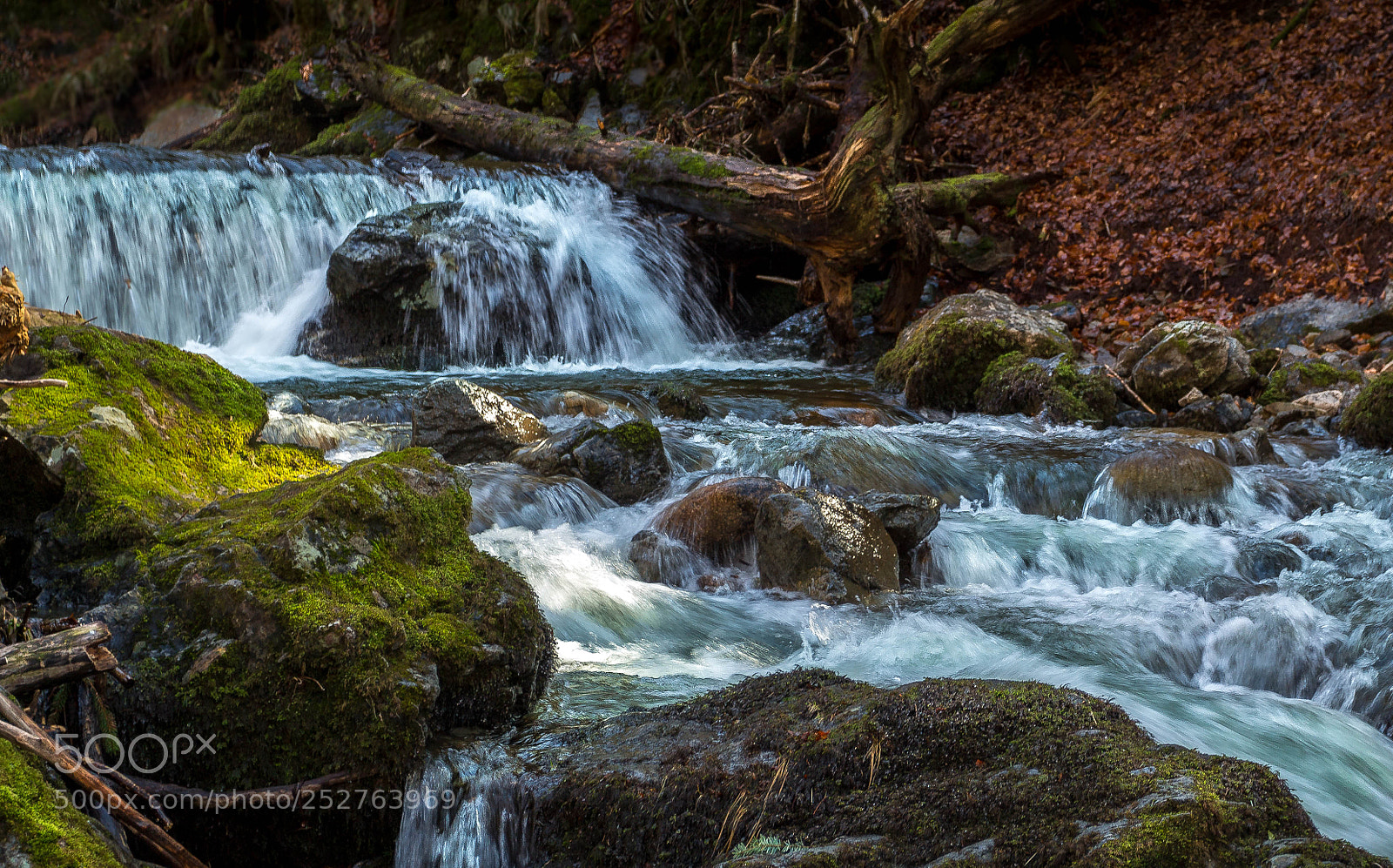 Canon EOS 700D (EOS Rebel T5i / EOS Kiss X7i) sample photo. Black forest stream photography