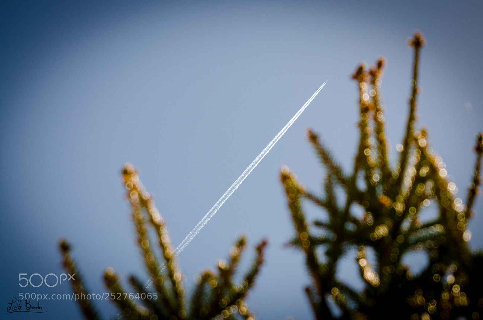 Nikon D5100 sample photo. Aereo booken photography