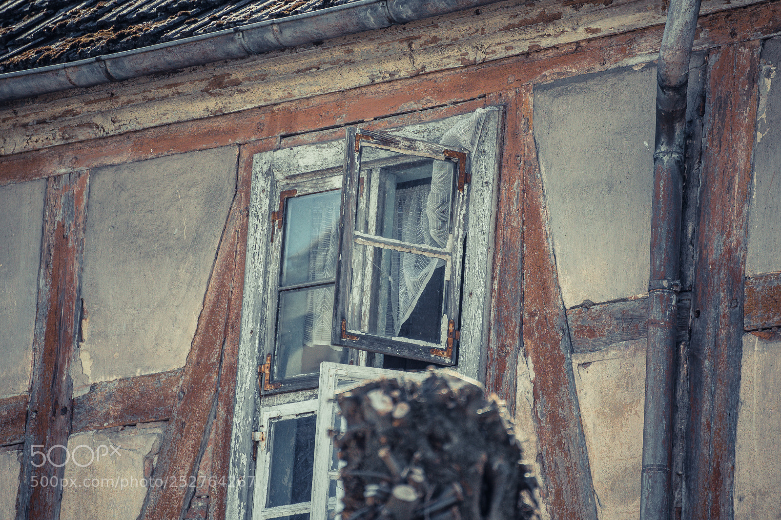Sony a7 II sample photo. Looking back photography