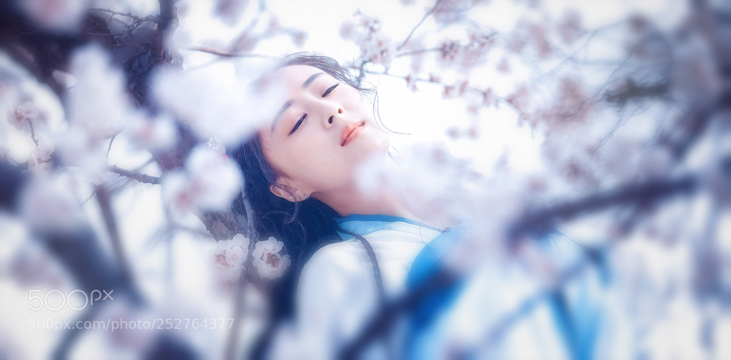 Canon EOS 5DS R sample photo. Untitled photography