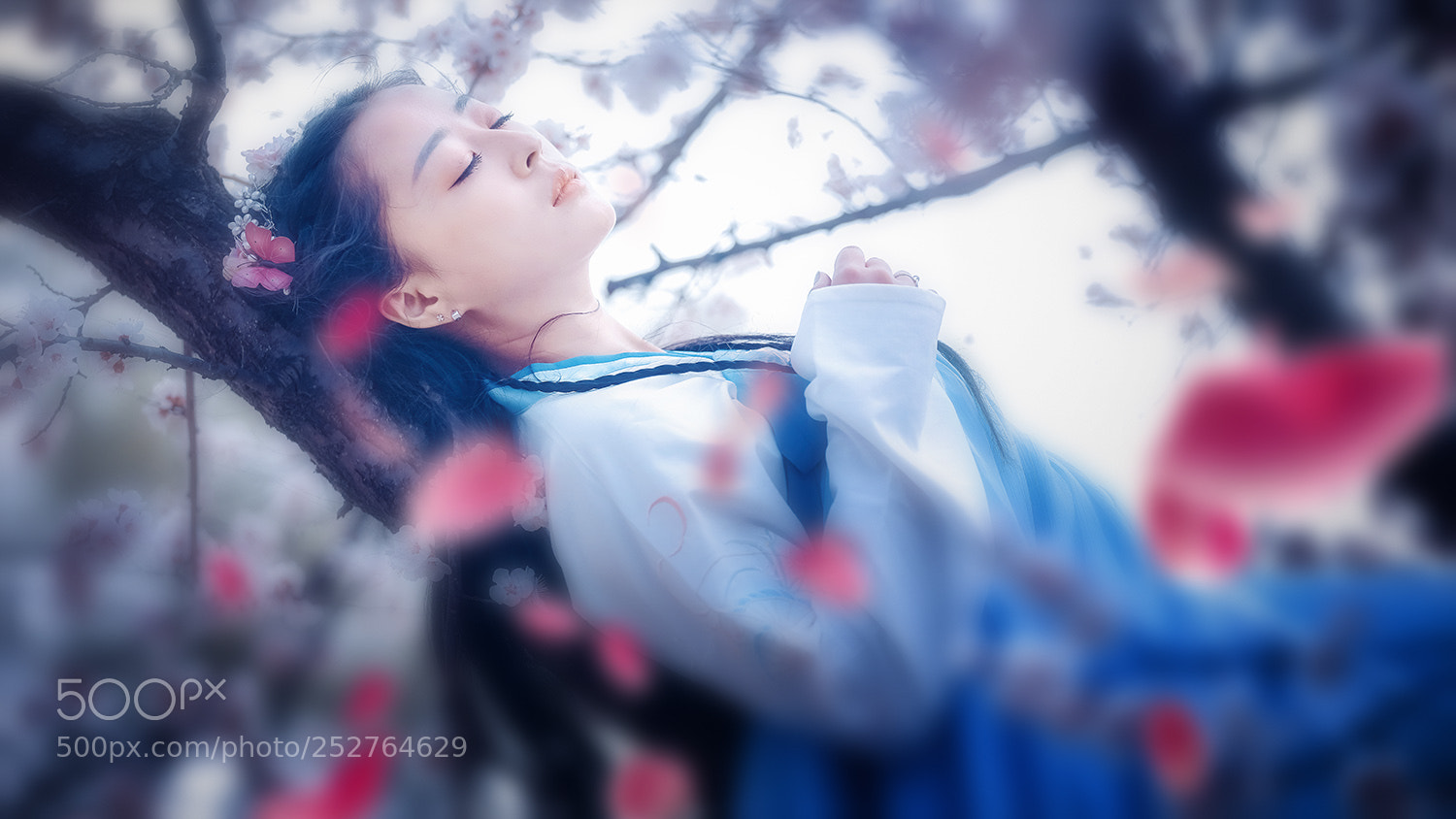 Canon EOS 5DS R sample photo. Untitled photography
