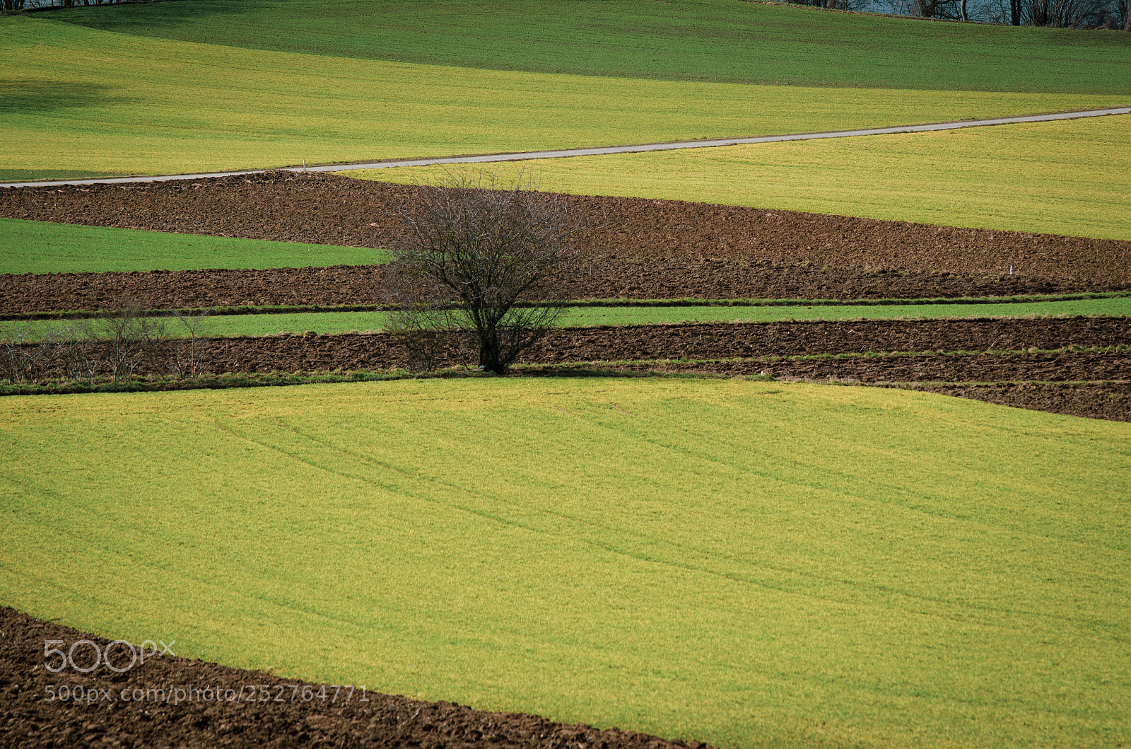 Nikon D7000 sample photo. Green fields photography