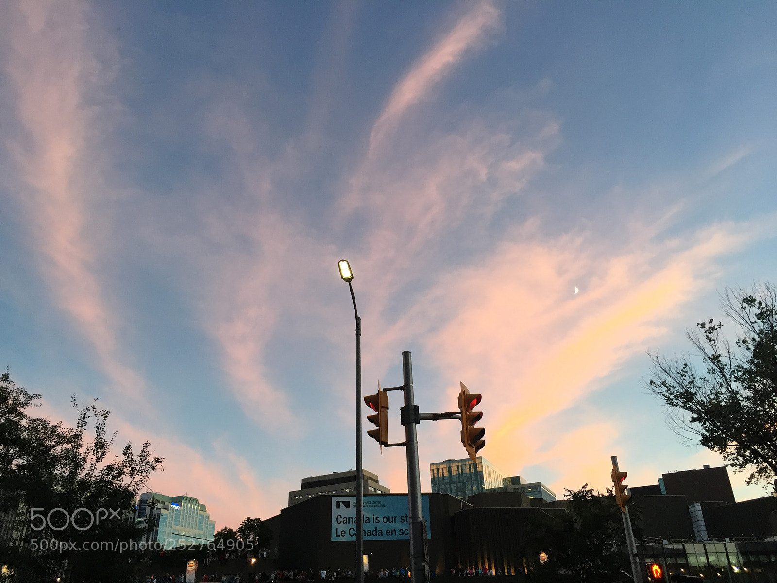 Apple iPhone 6 sample photo. Img photography