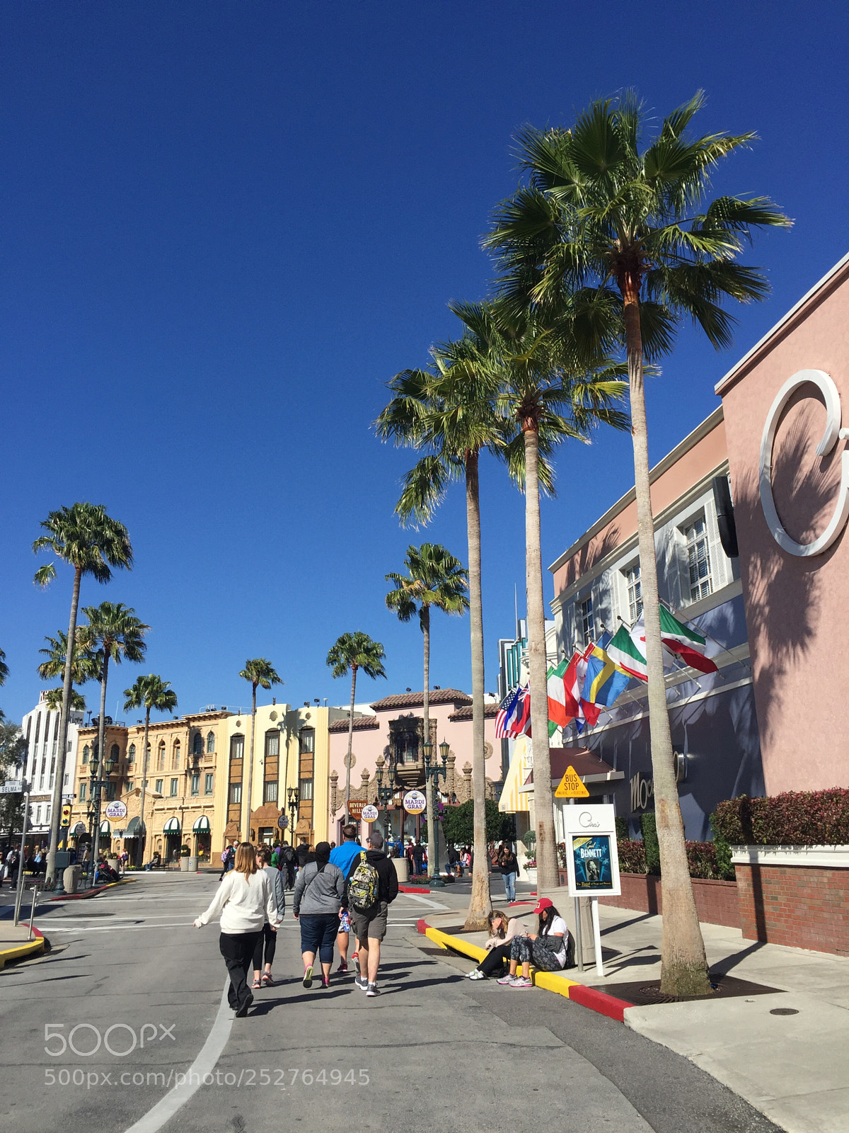 Apple iPhone 6 sample photo. Img photography