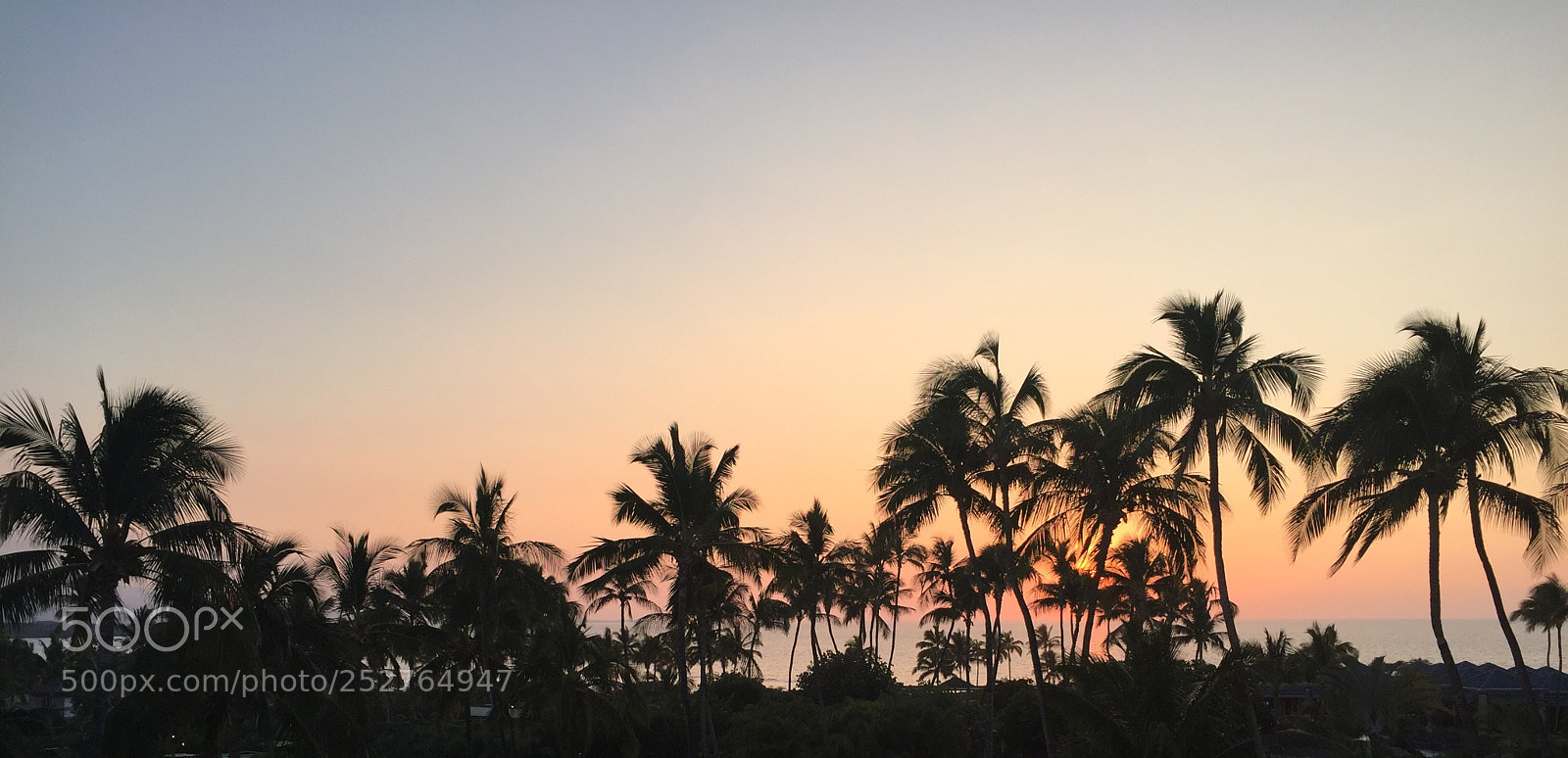 Apple iPhone 6 sample photo. Img photography