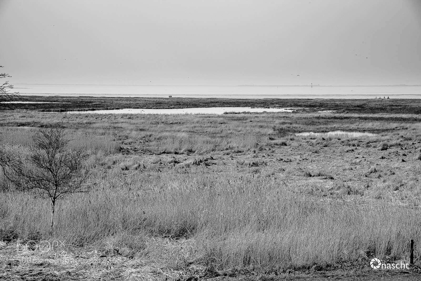 Nikon D750 sample photo. Schwimmendes moor i photography