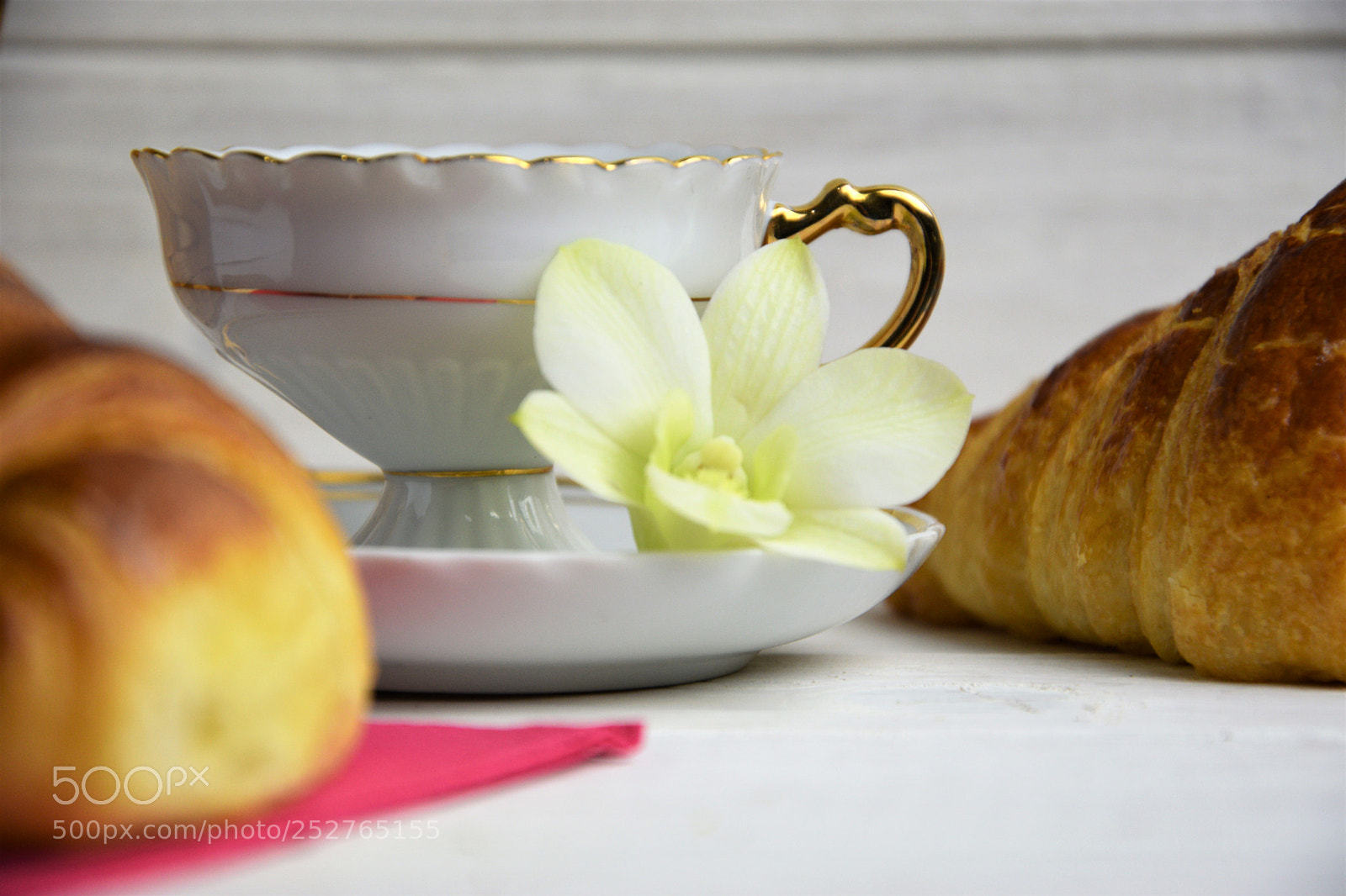 Nikon D3300 sample photo. A coffee cup with photography
